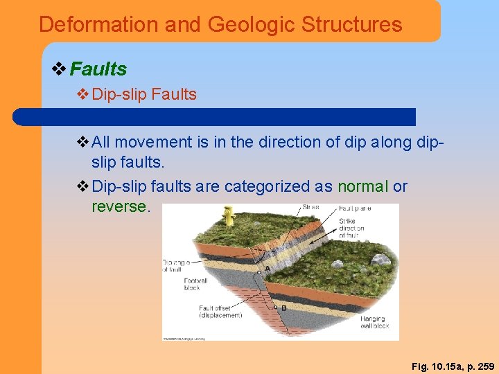 Deformation and Geologic Structures v Faults v. Dip-slip Faults v. All movement is in