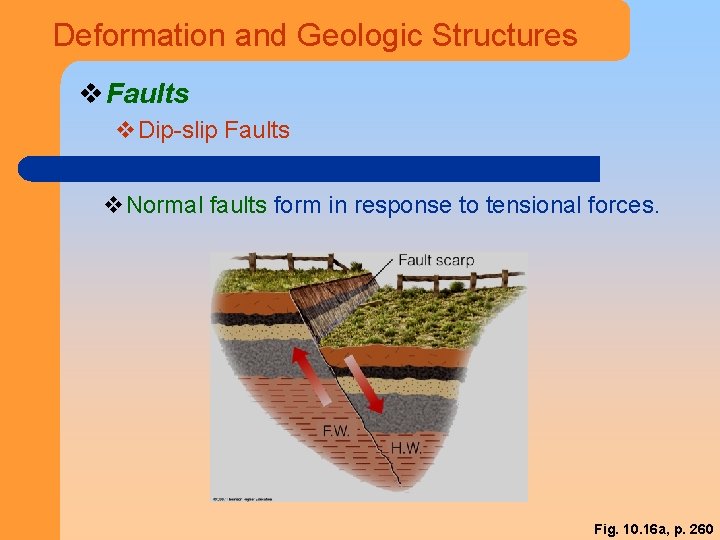 Deformation and Geologic Structures v Faults v. Dip-slip Faults v. Normal faults form in