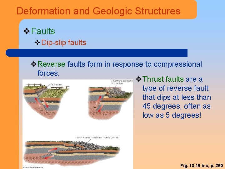 Deformation and Geologic Structures v Faults v. Dip-slip faults v. Reverse faults form in