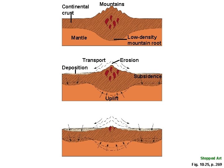Continental crust Mountains Low-density mountain root Mantle Transport Deposition Erosion Subsidence Uplift Stepped Art
