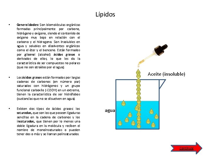 Lípidos • Generalidades: Son biomoléculas orgánicas formadas principalmente por carbono, hidrógeno y oxígeno, siendo