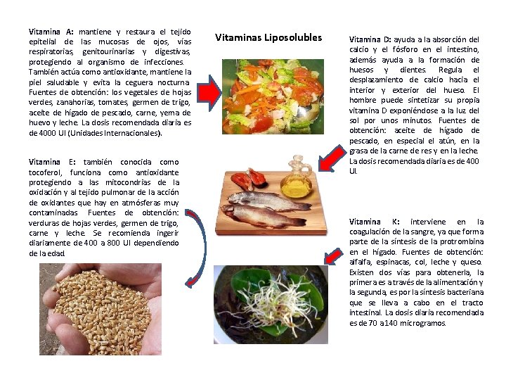 Vitamina A: mantiene y restaura el tejido epitelial de las mucosas de ojos, vías