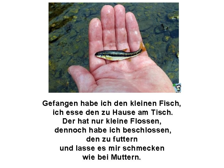 Gefangen habe ich den kleinen Fisch, ich esse den zu Hause am Tisch. Der