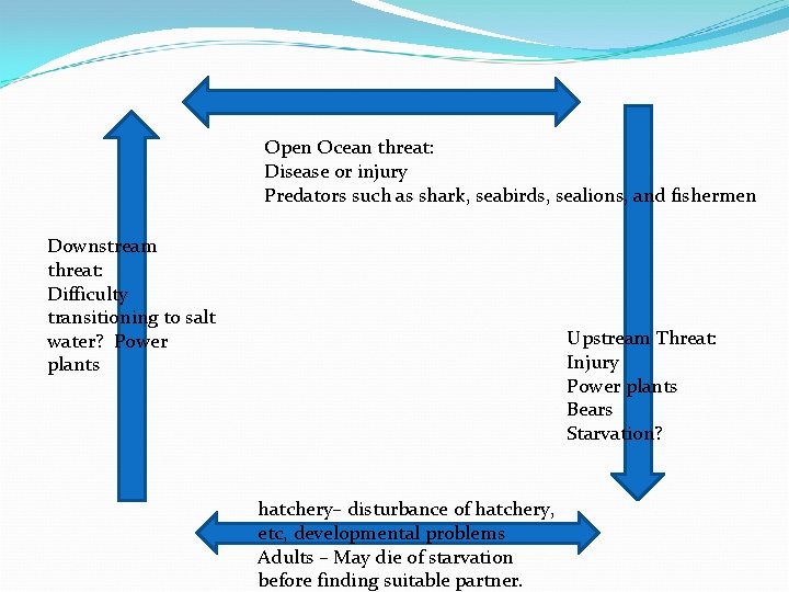 Open Ocean threat: Disease or injury Predators such as shark, seabirds, sealions, and fishermen