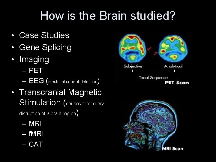 How is the Brain studied? • Case Studies • Gene Splicing • Imaging –