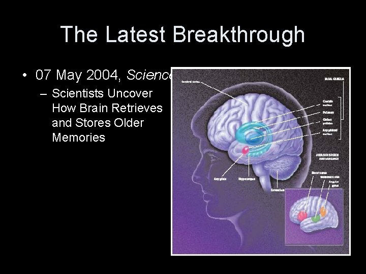 The Latest Breakthrough • 07 May 2004, Science – Scientists Uncover How Brain Retrieves