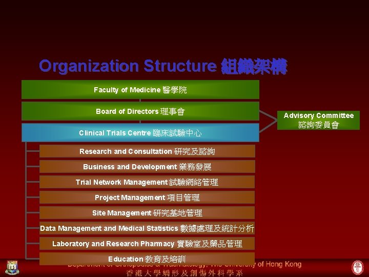 Organization Structure 組織架構 Faculty of Medicine 醫學院 Board of Directors 理事會 Clinical Trials Centre