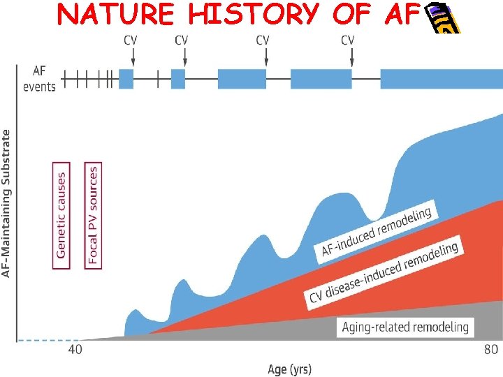 NATURE HISTORY OF AF 