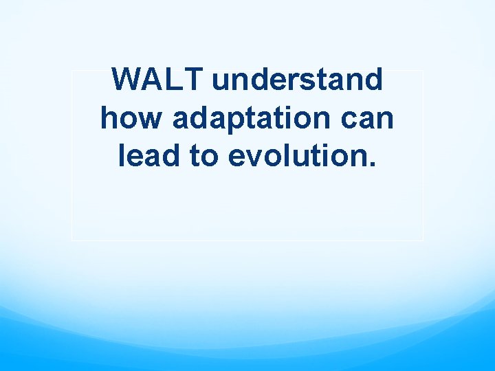 WALT understand how adaptation can lead to evolution. 