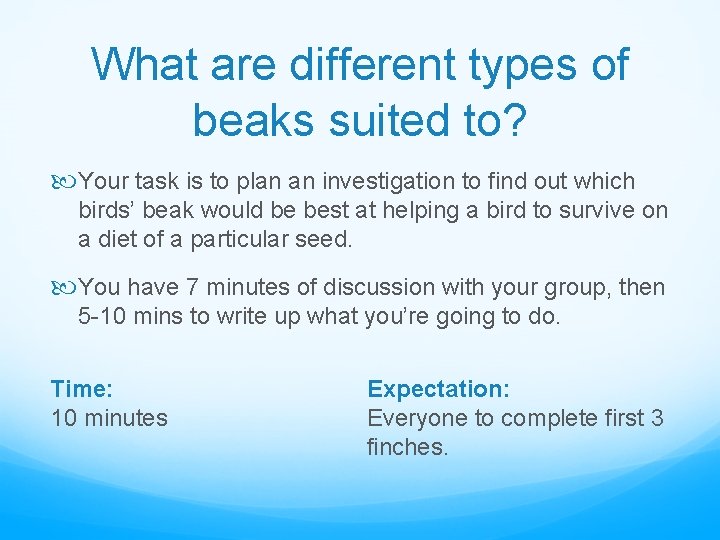 What are different types of beaks suited to? Your task is to plan an