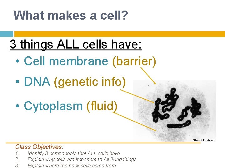 What makes a cell? 3 things ALL cells have: • Cell membrane (barrier) •