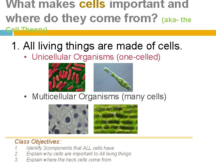 What makes cells important and where do they come from? (aka- the Cell Theory)