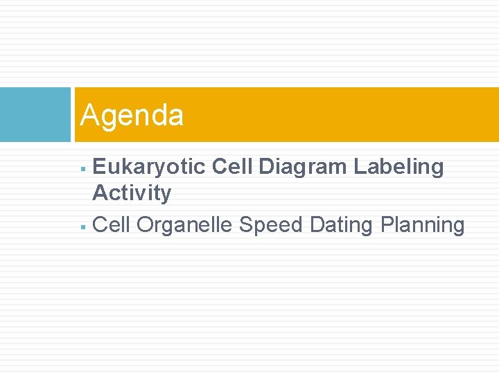 Agenda Eukaryotic Cell Diagram Labeling Activity § Cell Organelle Speed Dating Planning § 