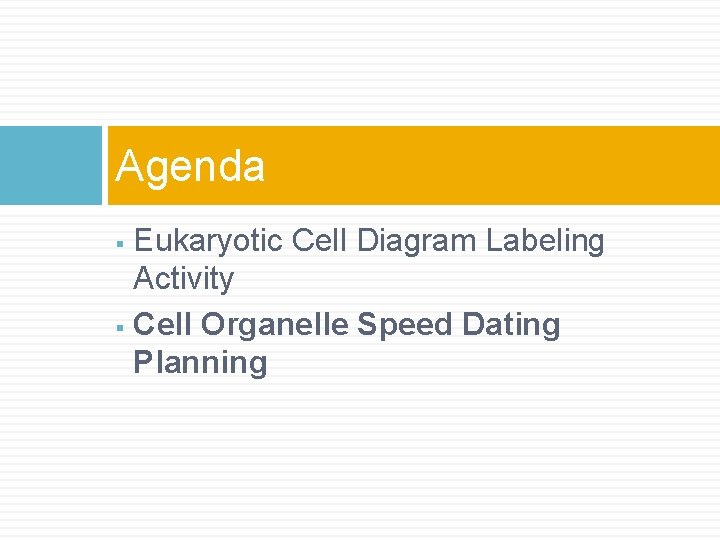 Agenda Eukaryotic Cell Diagram Labeling Activity § Cell Organelle Speed Dating Planning § 