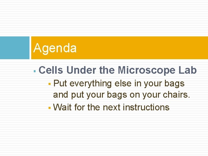 Agenda § Cells Under the Microscope Lab Put everything else in your bags and