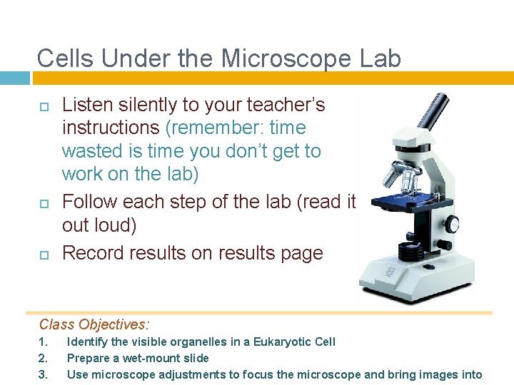 Cells Under the Microscope Lab Listen silently to your teacher’s instructions (remember: time wasted