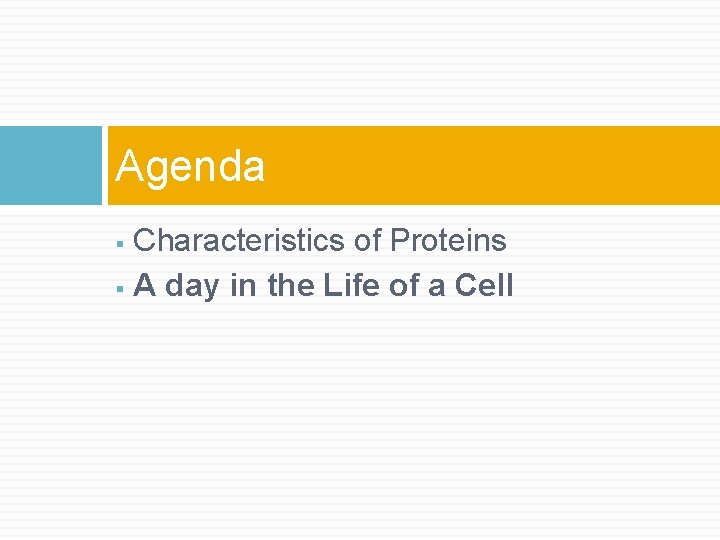 Agenda Characteristics of Proteins § A day in the Life of a Cell §