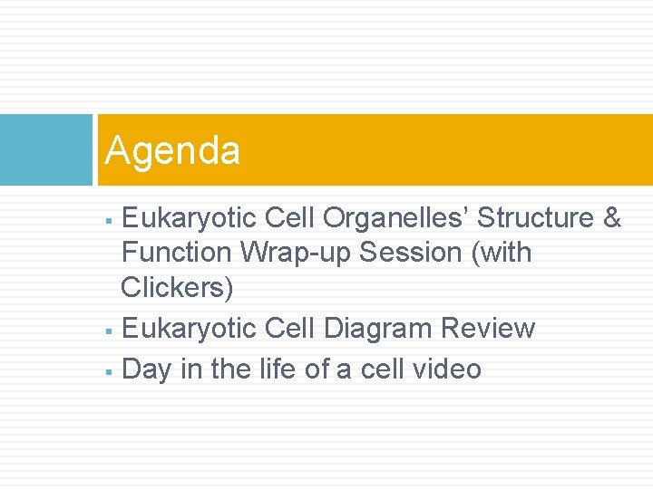 Agenda Eukaryotic Cell Organelles’ Structure & Function Wrap-up Session (with Clickers) § Eukaryotic Cell