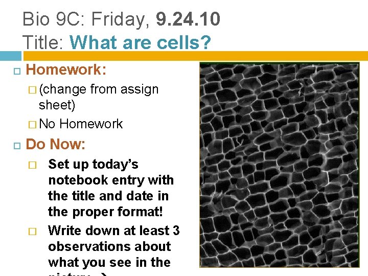 Bio 9 C: Friday, 9. 24. 10 Title: What are cells? Homework: � (change