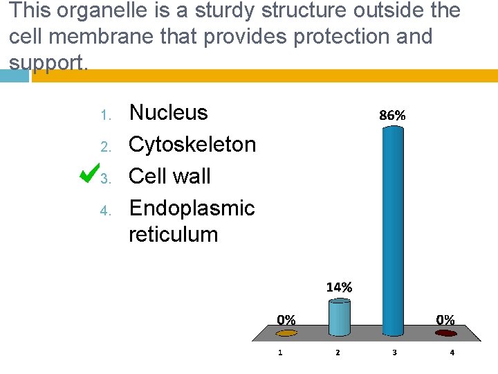 This organelle is a sturdy structure outside the cell membrane that provides protection and