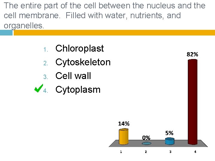 The entire part of the cell between the nucleus and the cell membrane. Filled