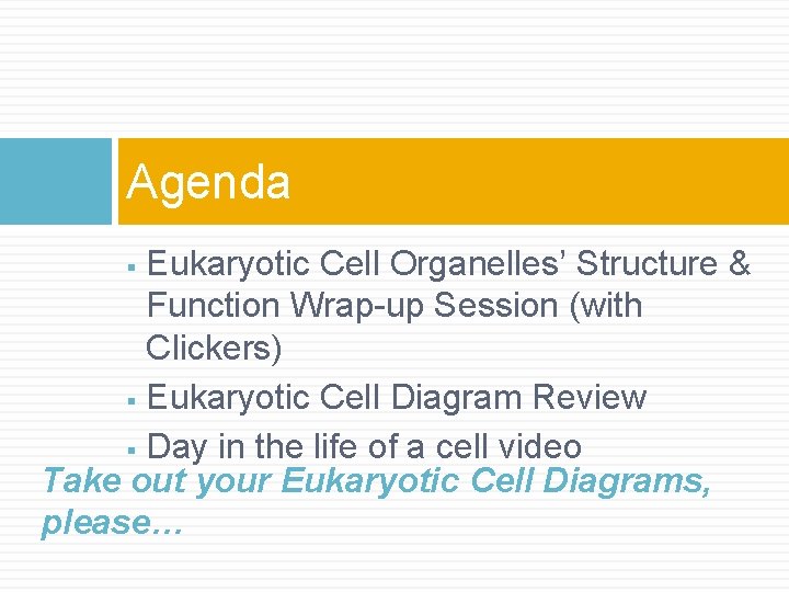 Agenda Eukaryotic Cell Organelles’ Structure & Function Wrap-up Session (with Clickers) § Eukaryotic Cell