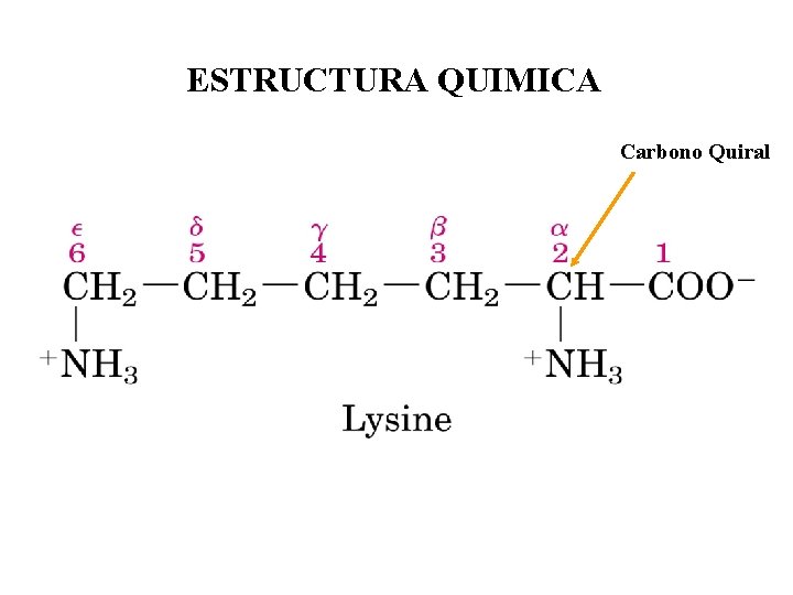 ESTRUCTURA QUIMICA Carbono Quiral 