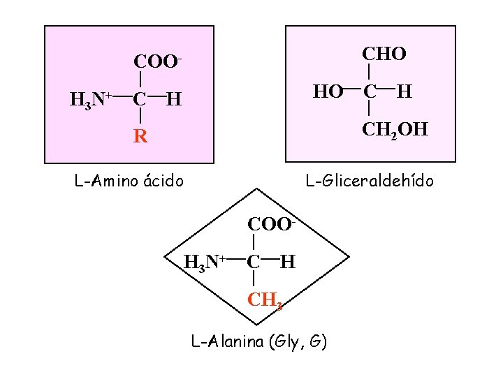 CHO COOH 3 N+ C HO H CH 2 OH R L-Amino ácido L-Gliceraldehído