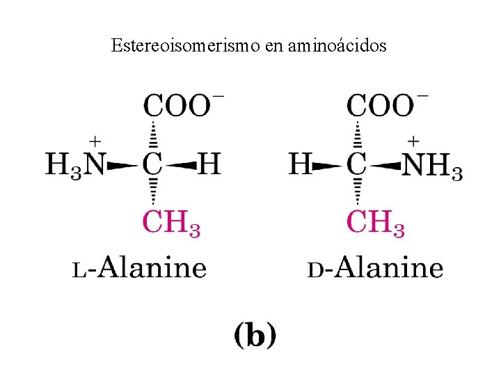 Estereoisomerismo en aminoácidos 