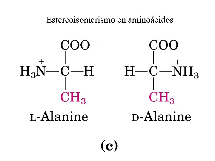 Estereoisomerismo en aminoácidos 