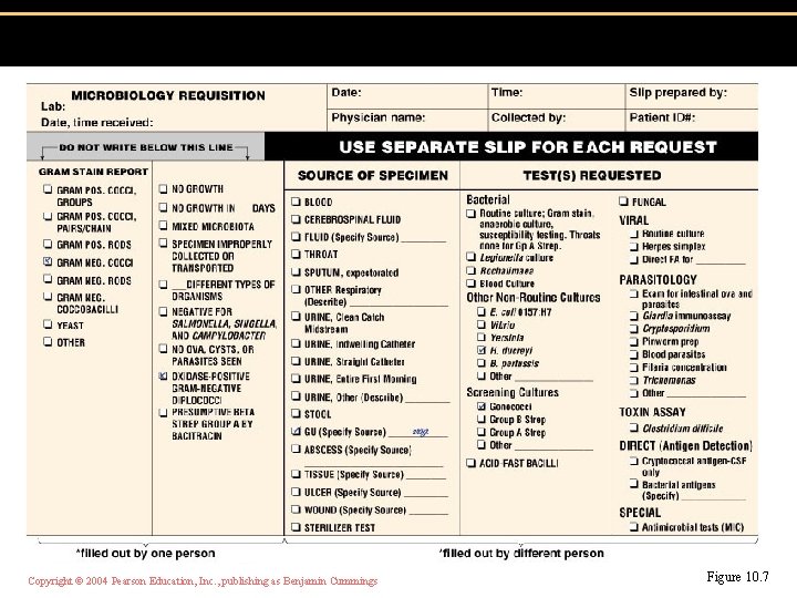 Copyright © 2004 Pearson Education, Inc. , publishing as Benjamin Cummings Figure 10. 7