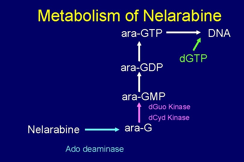 Metabolism of Nelarabine ara-GTP ara-GDP DNA d. GTP ara-GMP d. Guo Kinase d. Cyd