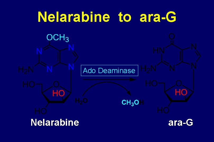 Nelarabine to ara-G Ado Deaminase Nelarabine ara-G 