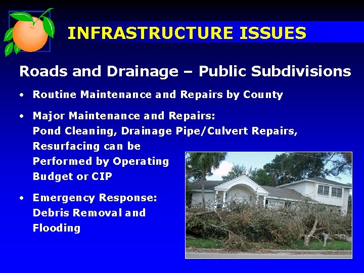 INFRASTRUCTURE ISSUES Roads and Drainage – Public Subdivisions • Routine Maintenance and Repairs by