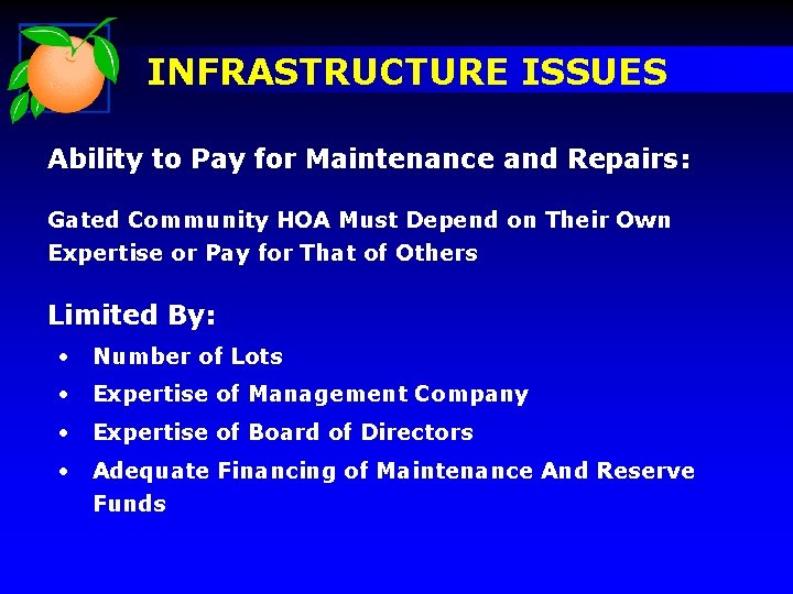 INFRASTRUCTURE ISSUES Ability to Pay for Maintenance and Repairs: Gated Community HOA Must Depend