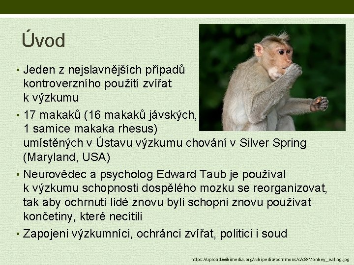 Úvod • Jeden z nejslavnějších případů kontroverzního použití zvířat k výzkumu • 17 makaků
