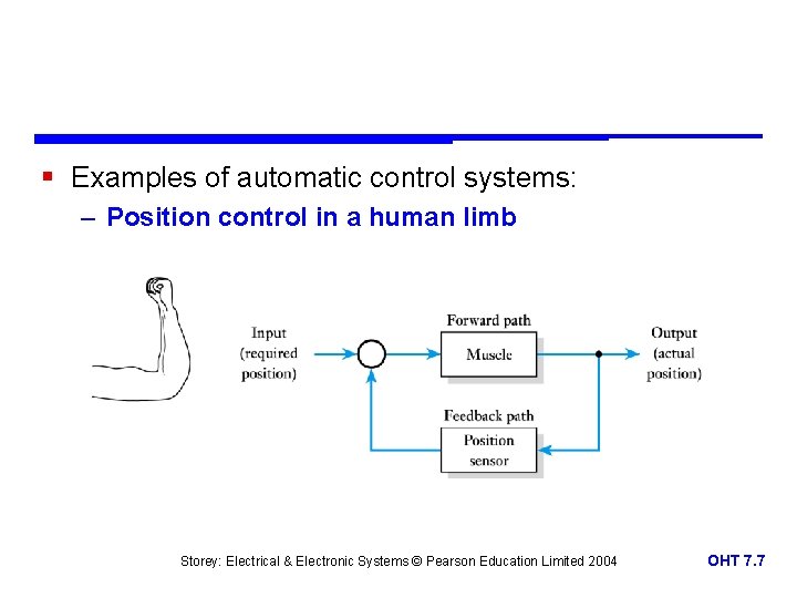 § Examples of automatic control systems: – Position control in a human limb Storey: