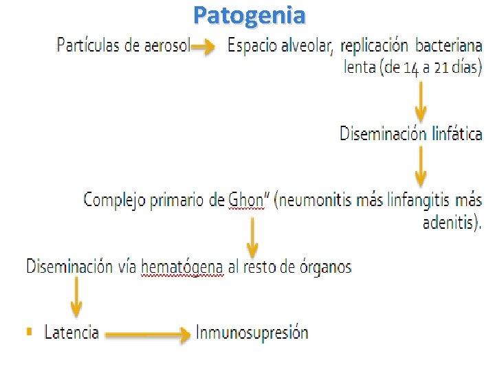 Patogenia 