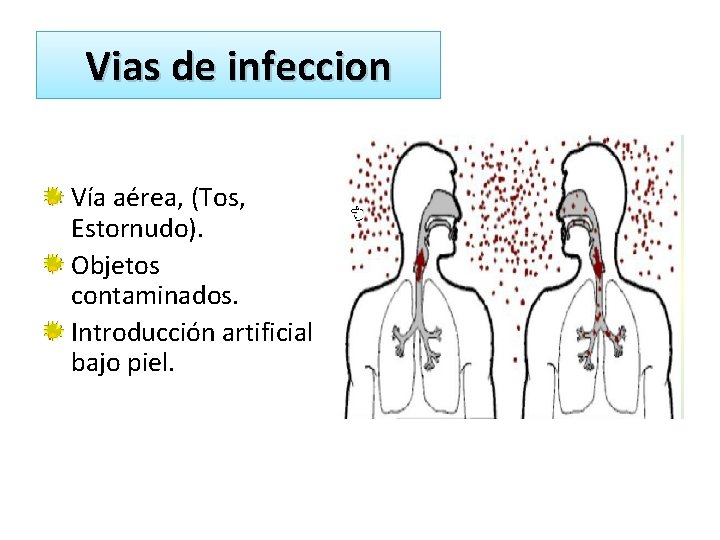 Vias de infeccion Vía aérea, (Tos, Estornudo). Objetos contaminados. Introducción artificial bajo piel. 
