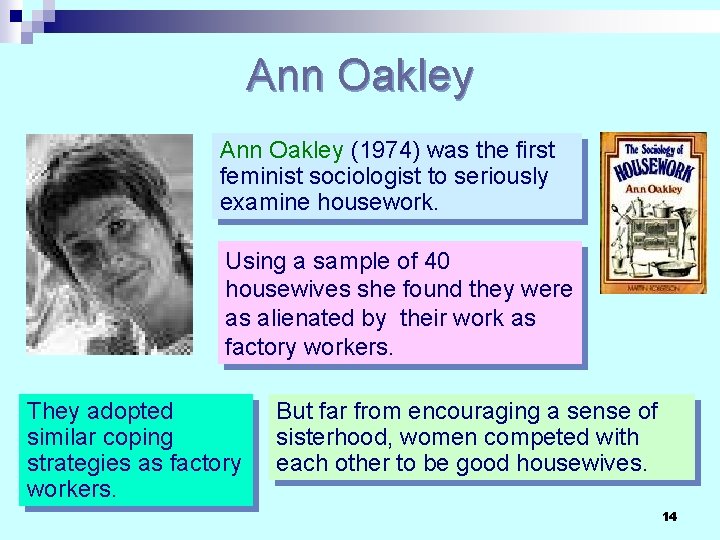 Ann Oakley (1974) was the first feminist sociologist to seriously examine housework. Using a