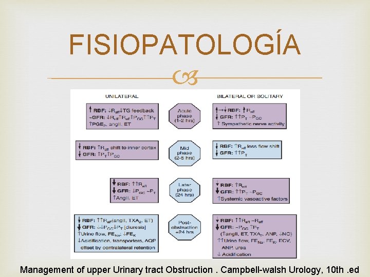 FISIOPATOLOGÍA Management of upper Urinary tract Obstruction. Campbell-walsh Urology, 10 th. ed 