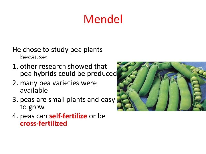 Mendel He chose to study pea plants because: 1. other research showed that pea