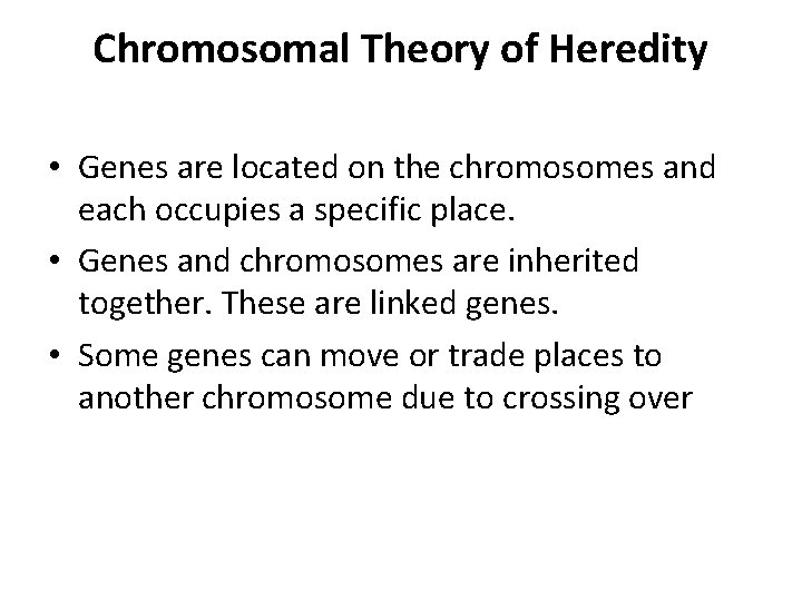 Chromosomal Theory of Heredity • Genes are located on the chromosomes and each occupies