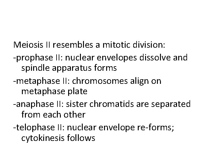 Meiosis II resembles a mitotic division: -prophase II: nuclear envelopes dissolve and spindle apparatus