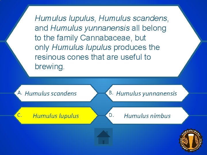 Humulus lupulus, Humulus scandens, and Humulus yunnanensis all belong What is the genus and