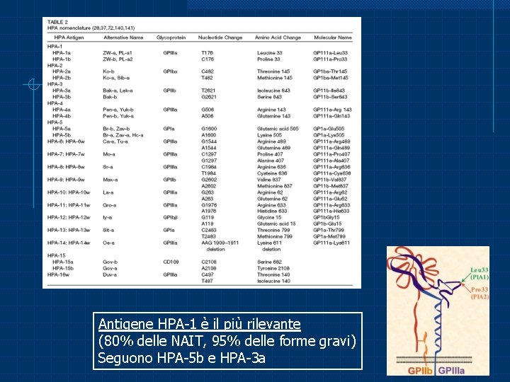 Antigene HPA-1 è il più rilevante (80% delle NAIT, 95% delle forme gravi) Seguono