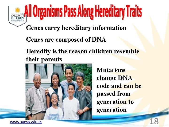 Genes carry hereditary information Genes are composed of DNA Heredity is the reason children