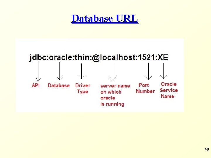 Database URL 40 