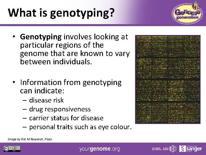 What is genotyping? • Genotyping involves looking at particular regions of the genome that