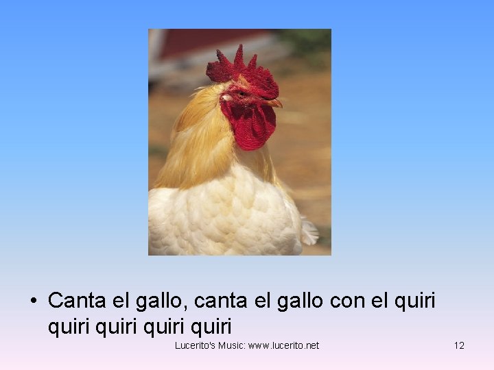  • Canta el gallo, canta el gallo con el quiri quiri Lucerito's Music: